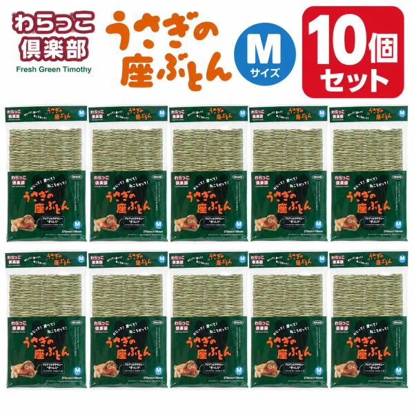 わらっこ倶楽部 うさぎの座ぶとん Ｍ 10個セット  うさぎ モルモット チンチラ チモシー 牧草川井　KAWAI　