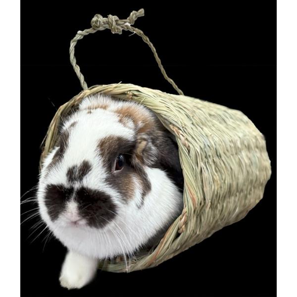 よじ登ったり、中で寝転んだり！夏やすずしく、冬はあたたかい！メーカー：カワイサイズ：直径180×265mm内外素材：アジアンビタチモシー