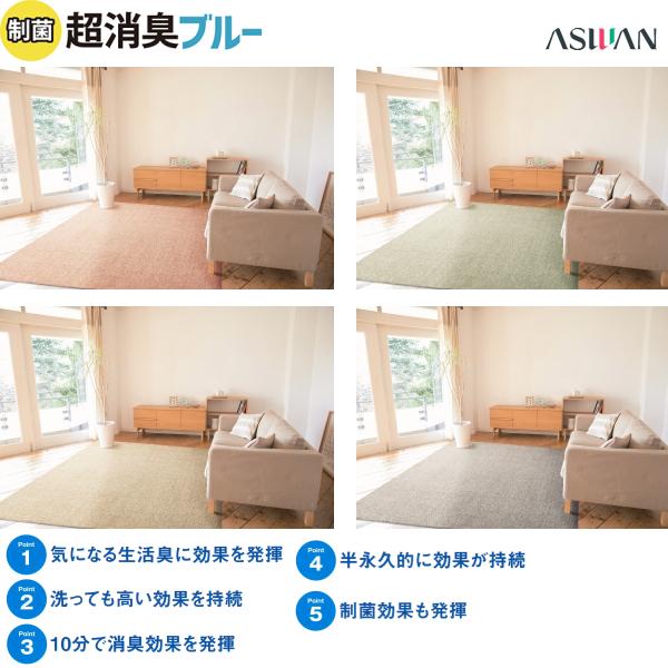 アスワン アスワン（日本製）アース防ダニ 消臭 制菌 遮音 遊び毛防止