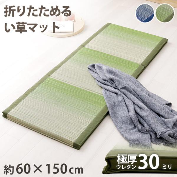 イケヒコ い草 マットレス ごろ寝マット 長座布団 ラーデ 折りたたみ