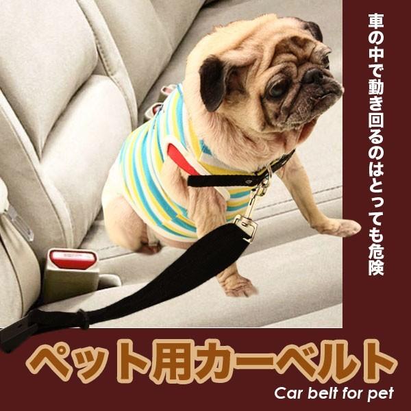 多目的 ドッグリード 2in1 犬 猫の安全グッズ 車内で使える ペット用 シートベルト 暴れない 長さ調節可能 お出かけ ドライブ 乗車用 ペットのシートベルト Sheetb I Shop7 通販 Yahoo ショッピング