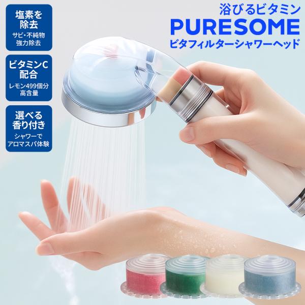 【新品】ハンドヘルド ビタミン C 韓国 シャワーヘッド フィルター　クリスマス 万博・韓国館展示 マルチフィルターシャワーヘッド フィルター