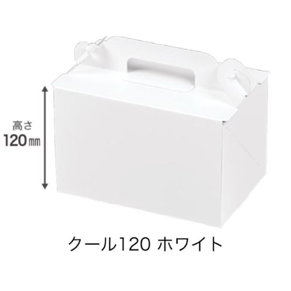 A82030 手提げ箱 クール120 ホワイト 4×6（300枚）手サゲ式 内寸120
