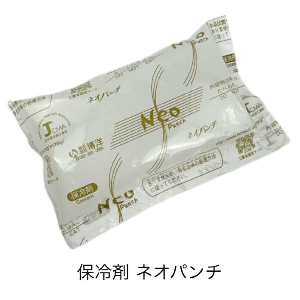 保冷剤 ネオパンチNE-20（20g×700個） 8×6cm 博洋 : 包装資材販売のi