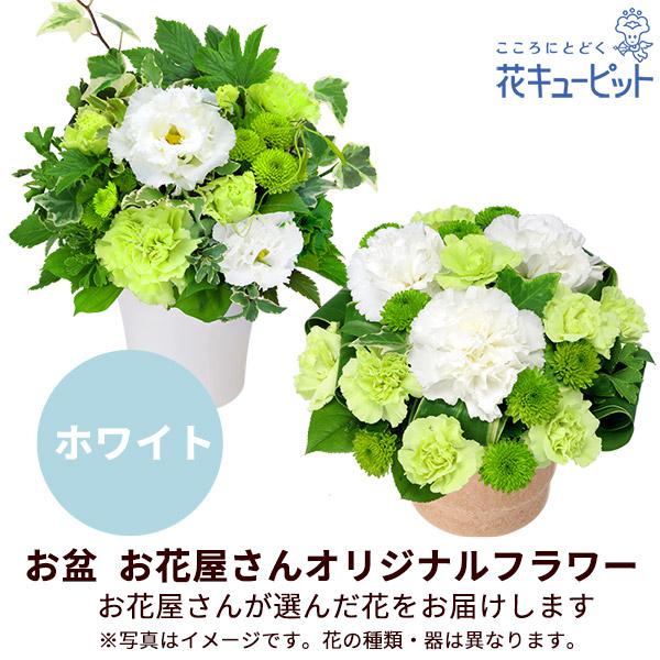 【お盆 8月13日以降お届け】花キューピット 新盆 初盆 供花 お悔やみ お供え 【花屋オリジナル】お供えのアレンジメント（白上がり）