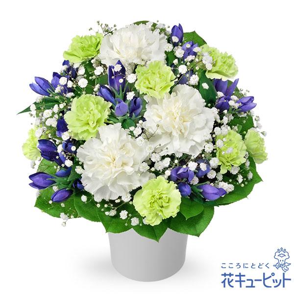 【お盆 8月16日以降お届け】花キューピット 新盆 初盆 供花 お悔やみ お供え お供えのアレンジメント