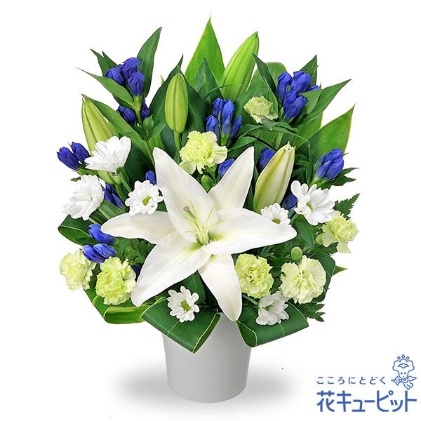 【お盆 8月16日以降お届け】花キューピット 新盆 初盆 供花 お悔やみ お供え お供えのアレンジメント