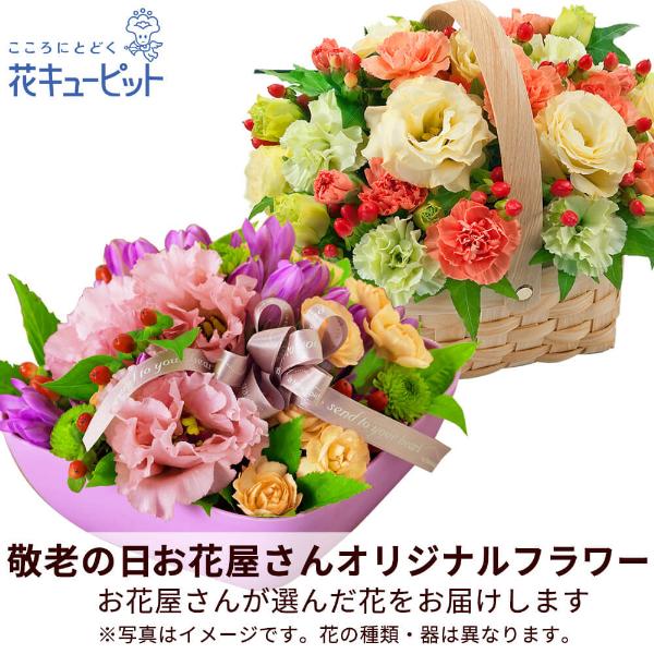 【敬老の日ギフト 遅れてごめんね】花キューピット プレゼント 花 2026年 祖父祖母 60代70代80代 【お花屋さんおすすめ】オリジナルアレンジ