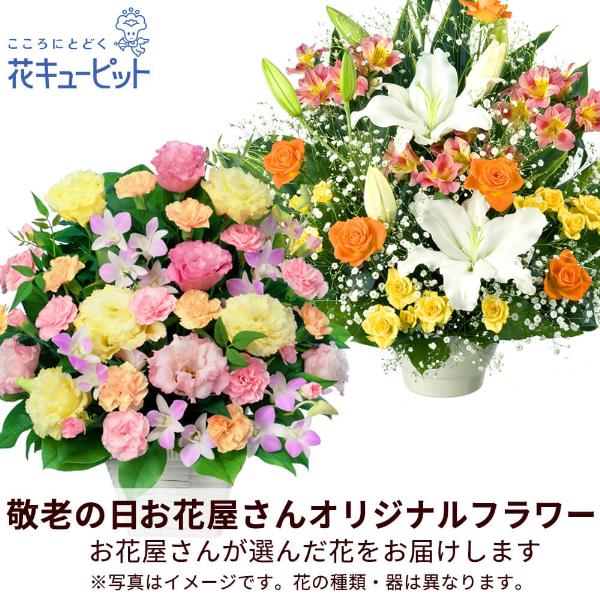 【敬老の日ギフト 遅れてごめんね】花キューピット プレゼント 花 2026年 祖父祖母 60代70代80代 【お花屋さんおすすめ】オリジナルアレンジ