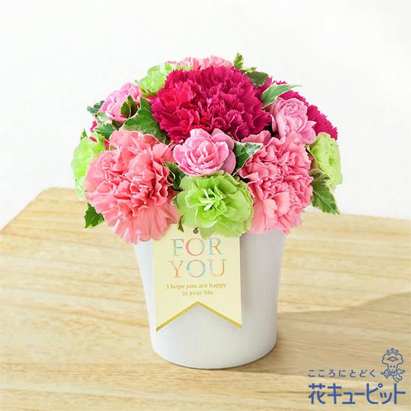 ポイント5倍 母の日 ギフト 22 プレゼント 花 カーネーション 誕生日 60代 70代 花キューピットのグラマラス ピンク インターネット 花キューピット 通販 Paypayモール