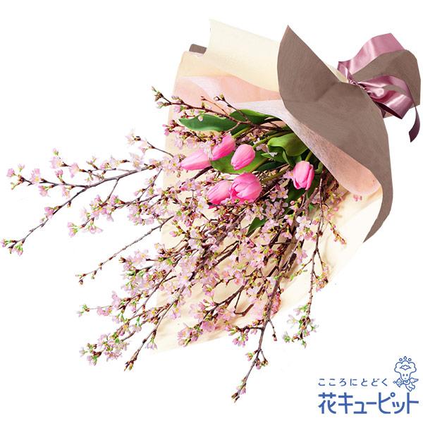 淡い色のさくらと、あざやかな色のチューリップを束ねました。やさしいピンク色をたっぷり楽しめる花束です。ナチュラルなラッピングにあたたかい気持ちを込めて。524090やさしいピンク色をたっぷり楽しめる花束　これから新しい道へ進んでいく人に、華...