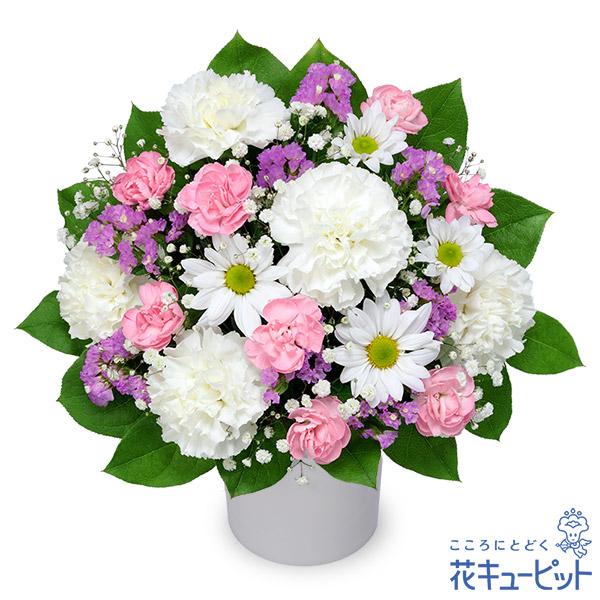 【ペット用フラワーギフト・お供え】花キューピット ペット 供花お供えのアレンジメント