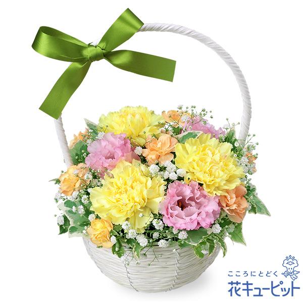 ピンクと黄色の花々を使った、ペットのためのお供えのアレンジメントです。バスケットのハンドルに結び付けた緑のリボンが、大切なペットと飼い主様の絆を繋いでくれるはず。色とりどりの優しげな花が、飼い主様の心にそっと寄り添います。524257大切な...