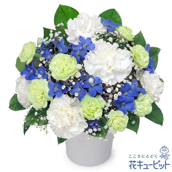白と青の落ち着いた色合いが、故人への哀悼の意を表すお供えのアレンジメント。色の入ったアレンジメントは、四十九日法要以降に贈るのがよいとされています。小さめのサイズなので、ご遺族の手を煩わせない贈り物です。512600白と青の落ち着いた色合い...