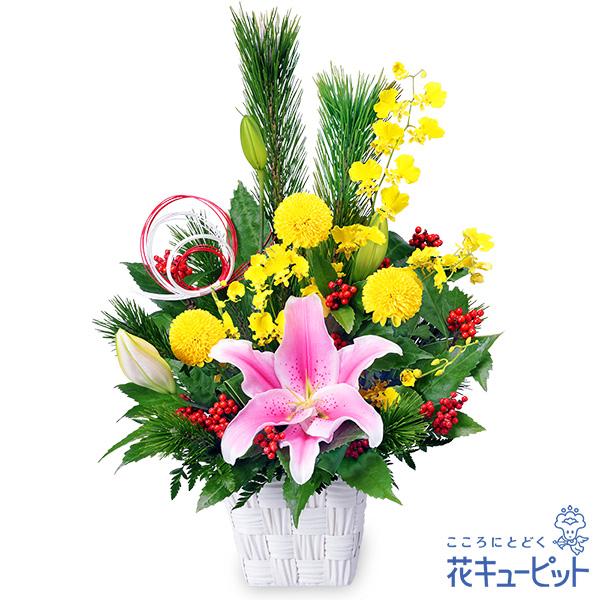 よい新年を迎えられるよう願いを込めた、お正月のアレンジメントです。永遠の生命を象徴する「若松」や、商売繁盛を願う「千両」などの縁起のいい花を使用しました。プレゼント・ギフト・お年賀にはもちろん、ご自宅用のお正月飾りとしても人気です。5242...