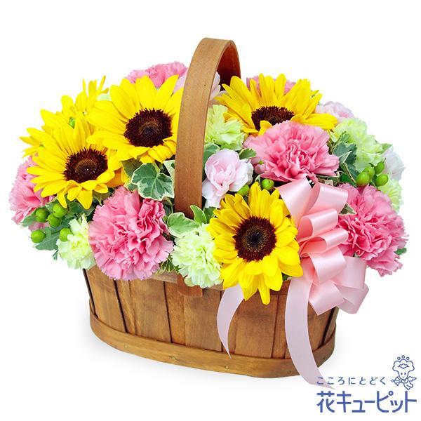 【誕生日フラワーギフト】花キューピット 女性 男性 彼氏彼女 夫妻 父母 ギフト プレゼント ひまわりのハーモニーバスケット（ピンク）