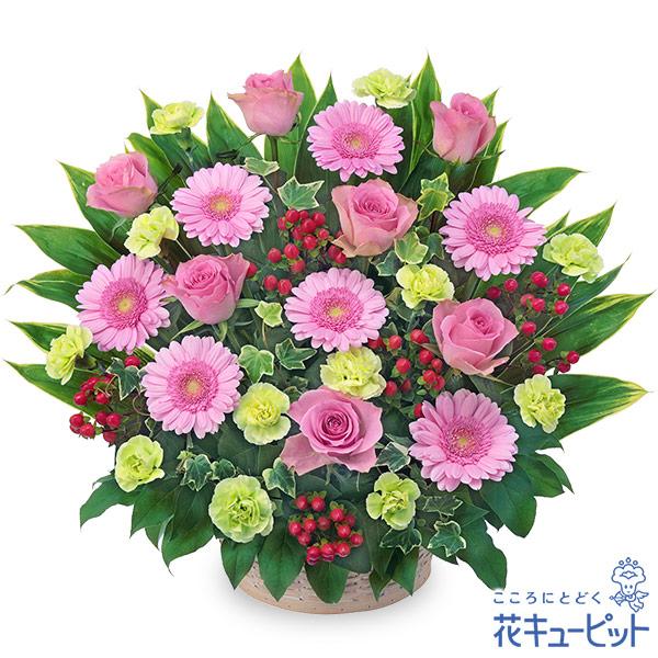 【誕生日フラワーギフト】花キューピット 女性 男性 彼氏彼女 夫妻 父母 ギフト プレゼント ピンクバラとピンクガーベラのアレンジメント