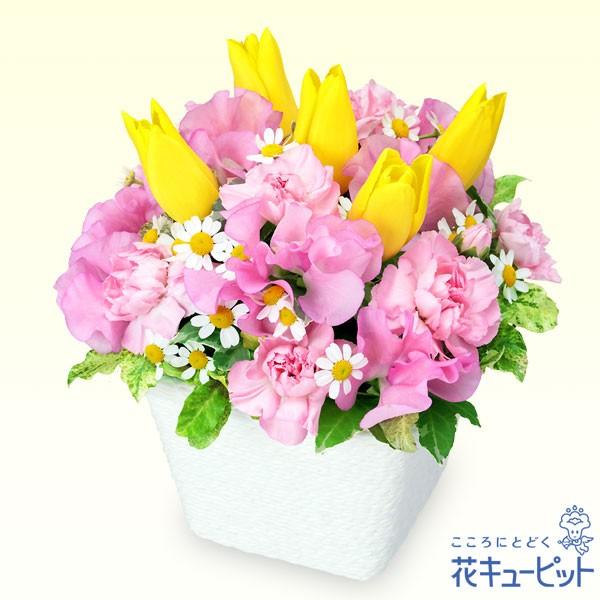 1月の誕生花 スイートピー等 お祝い 記念日 プレゼント フラワーギフト 花キューピットのスイートピーとイエローチューリップのアレンジメント インターネット花キューピット 通販 Paypayモール