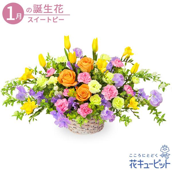 1月の誕生花 スイートピー お祝い 記念日 プレゼント フラワーギフト 花キューピットのイエローとパープルのバスケットアレンジメント Ya01 インターネット花キューピット 通販 Yahoo ショッピング