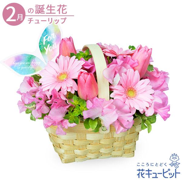 2月の誕生花 チューリップ 誕生日 お祝い 記念日 プレゼント 家族 友人 花キューピットのチューリップのバスケットアレンジメント Ya02 インターネット花キューピット 通販 Yahoo ショッピング