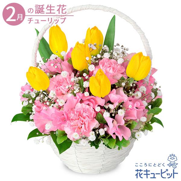 たくさんの花が咲き始める春にぴったりな、旬の花々をぎゅっと詰め込んだアレンジメント。ピンクのスイートピーに黄色のチューリップが映えるデザインです。どこから見ても花を楽しめるバスケット型なので、テーブルの真ん中などに飾りやすいスタイルとなって...