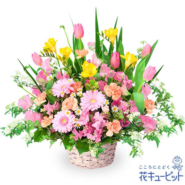 春の訪れと共に開花するチューリップなどの花々が、周りの人を明るい笑顔にしてくれるアレンジメントです。ピンクやイエローを使った可愛らしい色合いは、飾るだけでパッと華やかな空間にしてくれます。525095元気な色合いが笑顔にさせてくれます　お誕...