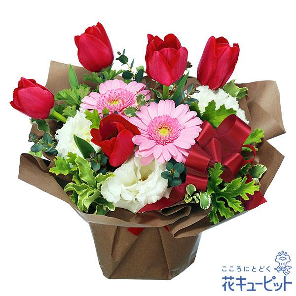 世界中が愛を伝え合う2月に生まれたあの人に贈りたい、特別なバースデーアレンジメント。バレンタインデーをイメージした、レッド×ピンク×ホワイトの3色を中心にまとめました。スイートな色合いの春らしいお花が、お誕生日を素敵に彩ります。525133...