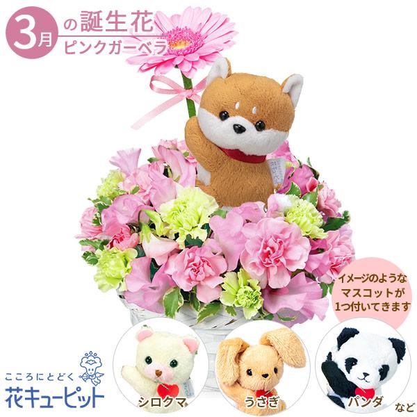 花キューピットで長く人気がある、マスコット付きのアレンジメントです。可愛らしい動物のマスコットがにっこり笑って、優しげなピンクのガーベラをプレゼントしてくれます。マスコットは、パンダ・三毛猫・うさぎなどの豊富なラインナップから1つお付けいた...