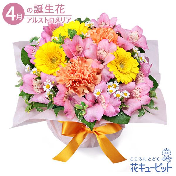4月の誕生花 アルストロメリア お祝い 記念日 お礼 誕生日 プレゼント 花キューピットの4月のバースデーアレンジメント インターネット花キューピット 通販 Paypayモール