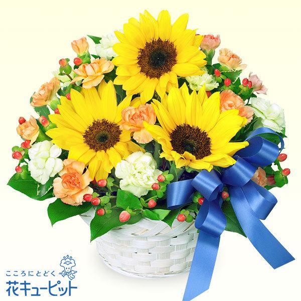 7月の誕生花 ひまわり 花 ギフト 誕生日 プレゼント花キューピットのひまわりとブルーリボンのアレンジメント インターネット花キューピット 通販 Paypayモール