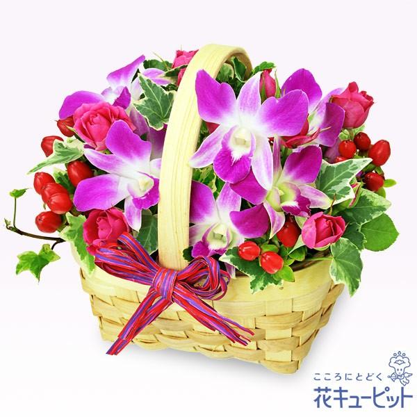 9月の誕生花 デンファレ等 デンファレのウッドバスケット 花キューピット ギフト 誕生日 プレゼント お祝い インターネット花キューピット 通販 Paypayモール