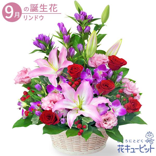 【9月の誕生花（リンドウ）】花キューピット ギフト 誕生日 プレゼント お祝い 女性男性 ユリとリンドウの豪華なアレンジメント