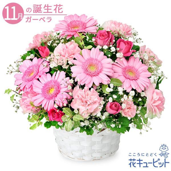 11月の誕生花 ガーベラ プレゼント 誕生日 お祝い 記念日 花キューピットのピンクガーベラのアレンジメント Ya11 5165 インターネット 花キューピット 通販 Yahoo ショッピング