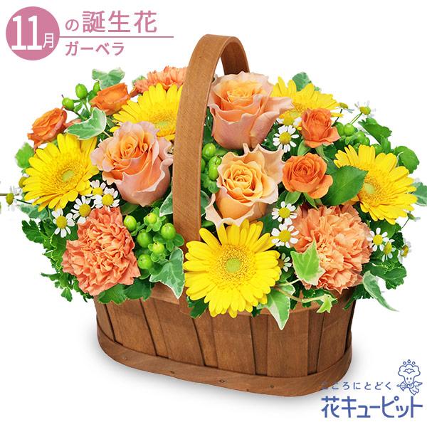11月の誕生花 ガーベラ プレゼント 誕生日 お祝い 記念日 花キューピットのオレンジバラのハーモニーバスケット Ya11 インターネット花キューピット 通販 Yahoo ショッピング