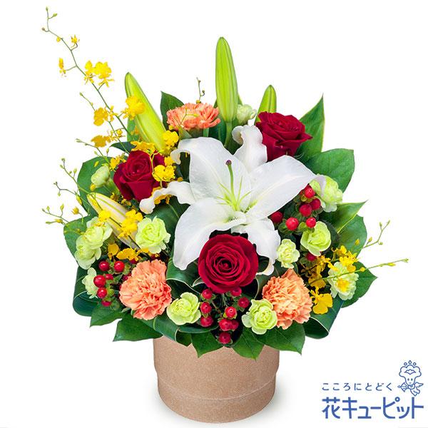 【結婚記念日】花キューピット 夫婦 祖父母 一周年 花婚式 銀婚式 金婚式 ギフト プレゼント 赤バラとピンクバラの花束 楽天市場】【誕生日フラワーギフト】花キューピット 花 誕生日 お祝い 記念日 プレゼント 彼氏彼女 夫婦 祖父母 友達 友人 赤バラの花束ya00-512714  : 花キューピット 