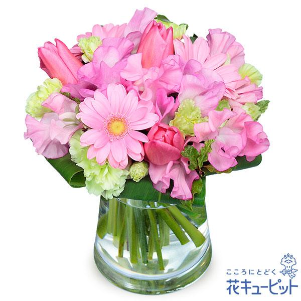 チューリップとガーベラを束ねて、可愛らしいピンクの花束にしました。春らしい色合いの花は、卒業・入学祝いなどのプレゼントにぴったりです。届いたらそのまま置ける花瓶付きのギフトなので、贈った相手の人が簡単に飾ることができます。524261春らし...