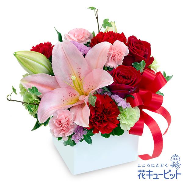 【結婚記念日】花キューピット 夫婦 祖父母 一周年 花婚式 銀婚式 金婚式 ギフト プレゼント 赤バラとピンクバラの花束 楽天市場】【誕生日フラワーギフト】花キューピット 花 誕生日 お祝い 記念日 プレゼント 彼氏彼女 夫婦 祖父母 友達 友人 赤バラの花束ya00-512714  : 花キューピット 