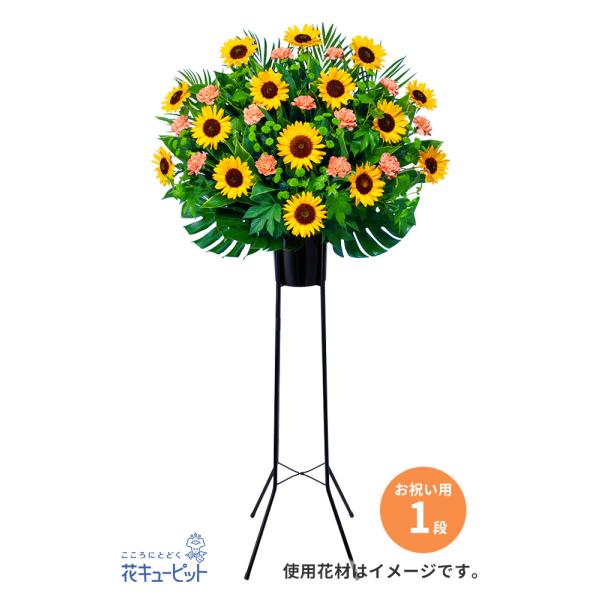 【お祝い】花キューピット 敬老の日 誕生日 記念日 結婚祝い 歓送迎 還暦 開店開業 卒業入学 生花 スタンド花お祝い1段（ひまわり）
