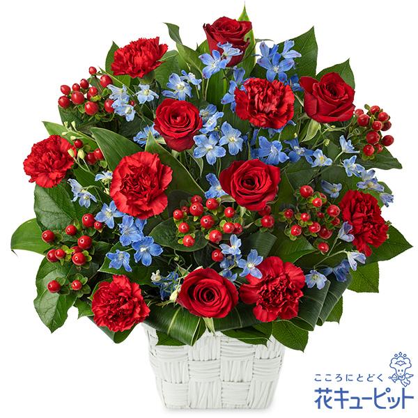 赤のバラに水色の小花をあわせて、個性的なミックスカラーでまとめたアレンジメント。高さ40cm以上とボリューム満点で、特別なお祝いのプレゼントにぴったりです。目上の人への誕生日ギフトなどのフォーマルな用途にもおすすめです。524396シックな...