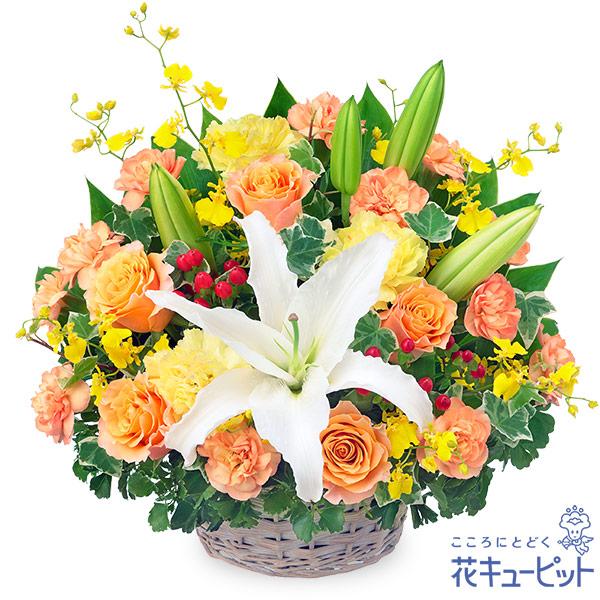 凛とした白ユリの周りに、オレンジと黄色の花々をたっぷりと生けたアレンジメントです。特別なお祝いにふさわしいデザインとボリューム感になっています。温かみのあるオレンジバラの花言葉は「絆」「信頼」。ボリューム感があるので、目上の人へのプレゼント...