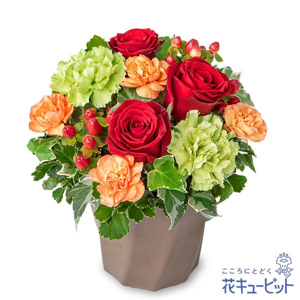 【お祝い】花キューピット 敬老の日 誕生日 記念日 結婚祝い 歓送迎 還暦 開店開業 卒業入学 生花 赤バラのハミングアレンジメント