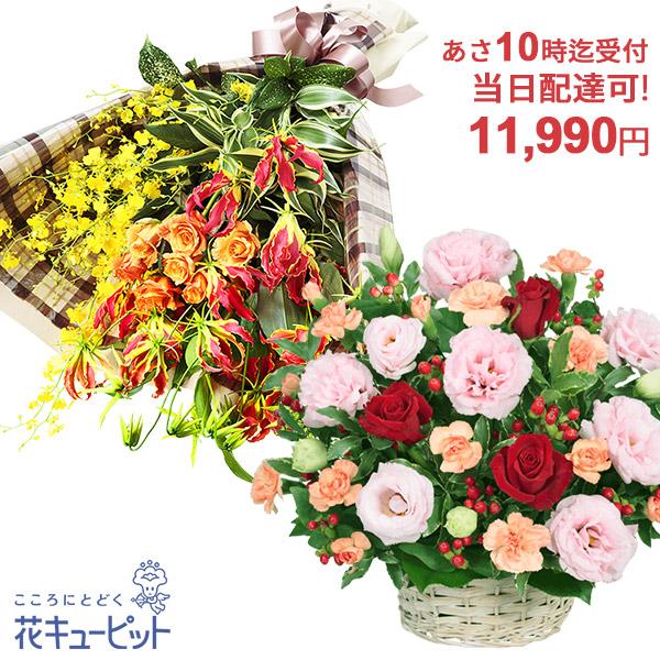 当日配達可能のクイックサービス！受付時間をご確認ください。q10999当日配達可能のクイックサービス！　お急ぎギフトは花キューピットで！朝１０時迄のご注文で当日届く特急便。　　【こんなご用途に】お祝い・お誕生日・退職祝い・歓送迎・還暦祝い・...