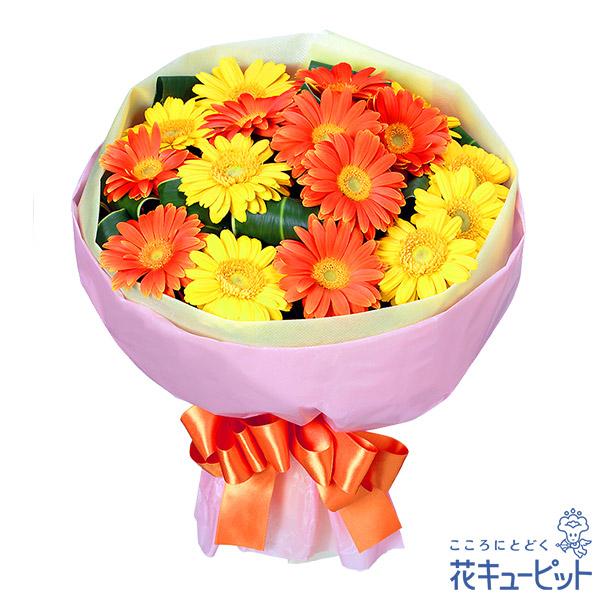 明るい色のガーベラに可愛らしいピンクのリボンがアクセント★人気のビタミンカラーのお花をブーケにしました。511745ビタミンカラーのお花を集めたブーケ　退職祝いは明るく、晴れやかに。季節の花たちが記念すべき日をやさしく彩ります。　　【こんな...