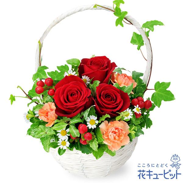 退職祝い 花 ギフト お祝い プレゼント 送迎会 還暦 定年 記念日 門出 花キューピットの赤バラのナチュラルバスケット インターネット花キューピット 通販 Paypayモール