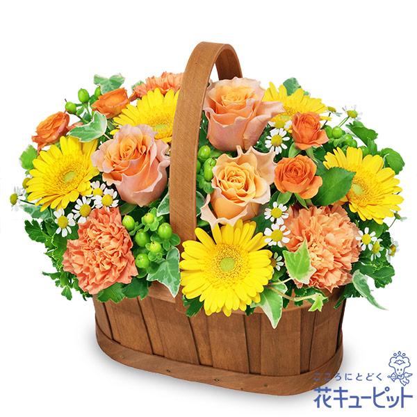 【退職祝い】花キューピット 花 ギフト お祝い プレゼントオレンジバラのハーモニーバスケット
