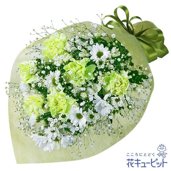供花 検索ランキング注目度順 供花 総合