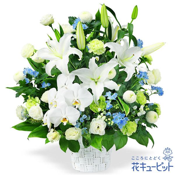 お供え お悔やみの献花 仏花 供花 法要 枕花 お盆 お彼岸 花キューピットのお供えのアレンジメント インターネット花キューピット 通販 Paypayモール
