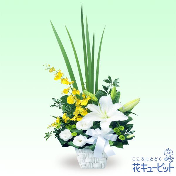 お供え お悔やみの献花 仏花 供花 法要 枕花 お盆 お彼岸 四十九日 生花 翌日 花キューピットのお供えのアレンジメント インターネット花キューピット 通販 Paypayモール
