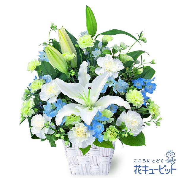 お供え・お悔やみの献花 仏花 供花 法要 枕花 お盆 お彼岸 四十九日 生花 翌日 花キューピットのお供えのアレンジメント :yr00-511975:インターネット花キューピット - 通販 - Yahoo!ショッピング お供え・お悔やみの献花 仏花 供花 法要 枕花 お盆 お彼岸 四十九日 生花 翌日 花キューピットのお供えのアレンジメント :yr00-511975:インターネット花キューピット - 通販 - Yahoo!ショッピング