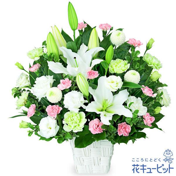お供え お悔やみの献花 仏花 供花 法要 枕花 お盆 お彼岸 四十九日 生花 翌日 花キューピットのお供えのアレンジメント Yr00 インターネット花キューピット 通販 Yahoo ショッピング